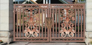 铝合金大门 鼎力相助e 001d 金属门的完美守护